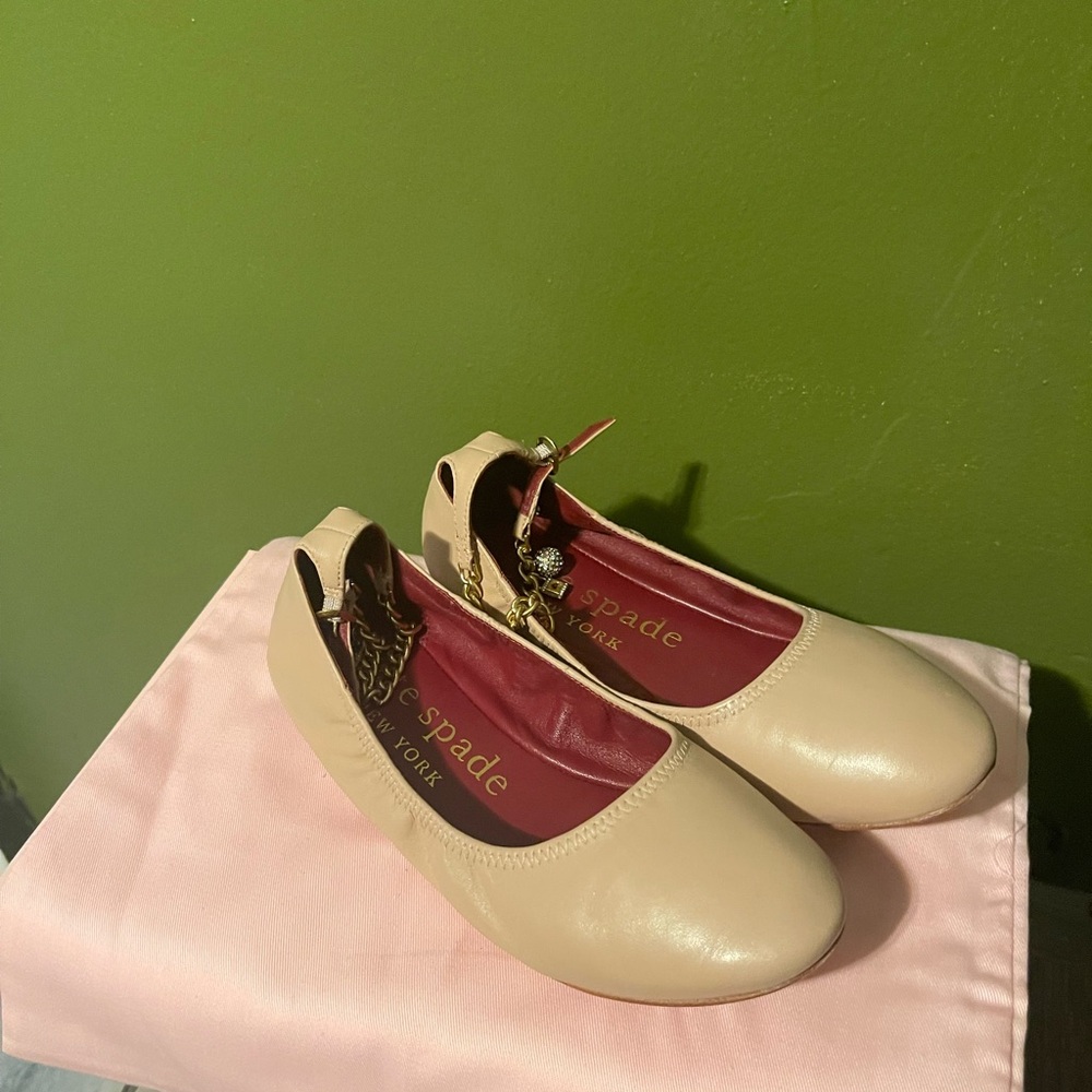 flat shoes, no physical damage , no scuffs fairly new .
